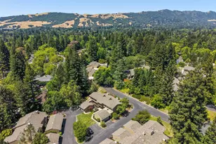 441 Sycamore Hill Dr, Danville, CA 94526 - Photo 43