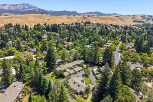 441 Sycamore Hill Dr, Danville, CA 94526 - Photo 41