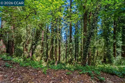 18103 La Verne Dr, Los Gatos, CA 95033 - Photo 39