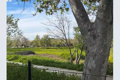 726 Escuela Dr, Mountain House, CA 95391 - Photo 39