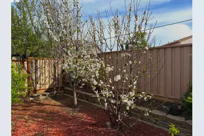 726 Escuela Dr, Mountain House, CA 95391 - Photo 37