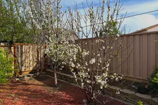 726 Escuela Dr, Mountain House, CA 95391 - Photo 37