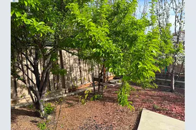726 Escuela Dr, Mountain House, CA 95391 - Photo 33