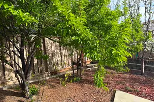 726 Escuela Dr, Mountain House, CA 95391 - Photo 33