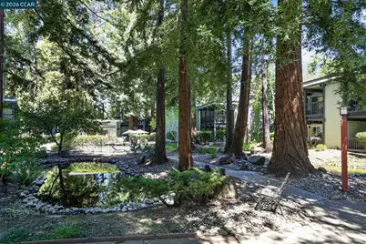 167 Rubicon Cir, Danville, CA 94526 - Photo 37