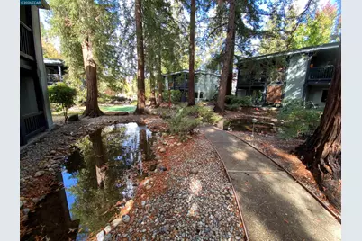 167 Rubicon Cir, Danville, CA 94526 - Photo 39