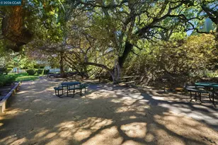 700 Suntree Ln, Pleasant Hill, CA 94523 - Photo 37