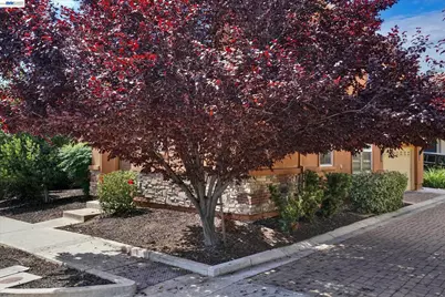 321 Cortona Way, Brentwood, CA 94513 - Photo 43