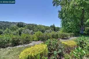 2055 Cactus Ct, Walnut Creek, CA 94595 - Photo 7