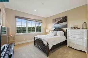 331 Corrie Pl, Alamo, CA 94507 - Photo 31