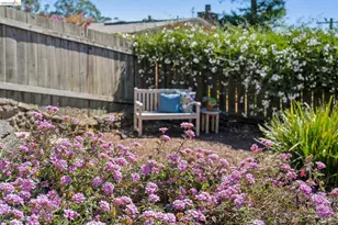 98 Fairlawn Dr, Berkeley, CA 94708 - Photo 73