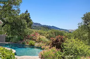 229 Manzanita Dr, Orinda, CA 94563 - Photo 23