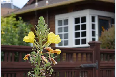 2860 Jackson St, Alameda, CA 94501 - Photo 53