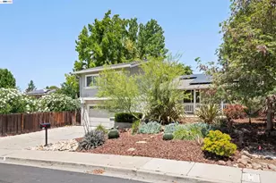 3513 Torino Way, Concord, CA 94518 - Photo 47