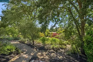 3211 Stone Valley Rd, Alamo, CA 94507 - Photo 79