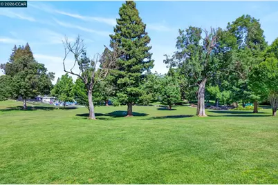 726 Buena Vista Pl, Walnut Creek, CA 94597 - Photo 63