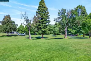 726 Buena Vista Pl, Walnut Creek, CA 94597 - Photo 63