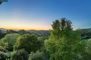 1 Gardiner Ct, Orinda, CA 94563 - Photo 7