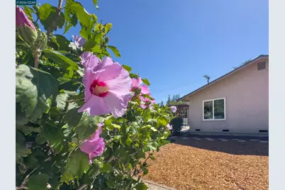 1759 Elm Rd, Concord, CA 94519 - Photo 17