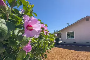1759 Elm Rd, Concord, CA 94519 - Photo 43