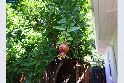 2157 Whyte Park Ave, Walnut Creek, CA 94595 - Photo 29