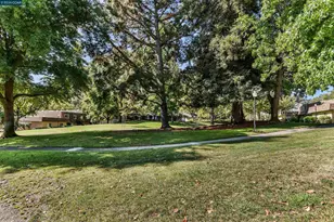 1767 Holland Cir, Walnut Creek, CA 94597 - Photo 29