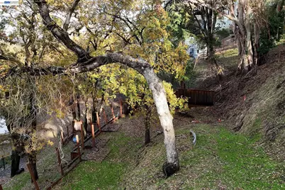 247 Sequoia Ave, Walnut Creek, CA 94595 - Photo 15