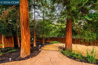 1676 Foothill Park Circle, Lafayette, CA 94549 - Photo 83