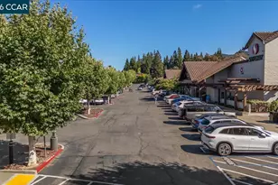 1489 Sunnybrook Rd, Alamo, CA 94507 - Photo 67