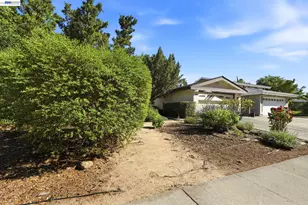 336 Encina Ave, Davis, CA 95616 - Photo 3