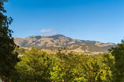 300 Marks Rd, Alamo, CA 94507 - Photo 15
