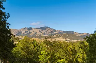 300 Marks Rd, Alamo, CA 94507 - Photo 15