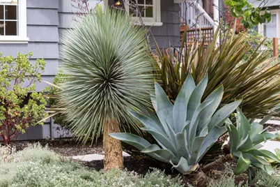 5641 Miles Ave, Oakland, CA 94618 - Photo 57