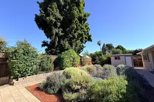 4414 Grover Dr, Fremont, CA 94536 - Photo 59