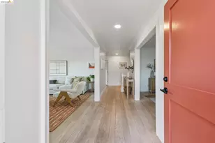 515 Vincente Ave, Berkeley, CA 94707 - Photo 3