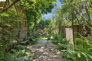 1090 Cragmont Ave, Berkeley, CA 94708 - Photo 79