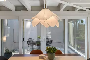 100 Avenida Dr, Berkeley, CA 94708 - Photo 15