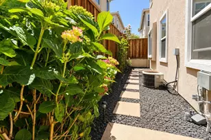 5 Almond Orchard Ln, San Ramon, CA 94583 - Photo 23