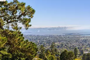 706 Hilldale Ave, Berkeley, CA 94708 - Photo 55
