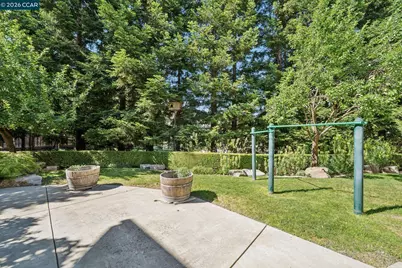 965 Elwyn Place, Danville, CA 94526 - Photo 69