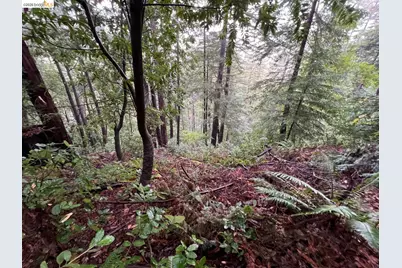 0 Deer Trail Way, Scotts Valley, CA 95066 - Photo 9
