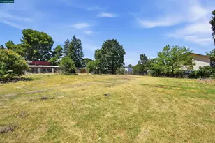 5249 Olive Dr, Concord, CA 94521 - Photo 7