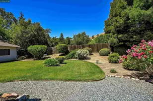 3165 Padre St, Lafayette, CA 94549 - Photo 35
