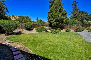 3165 Padre St, Lafayette, CA 94549 - Photo 33