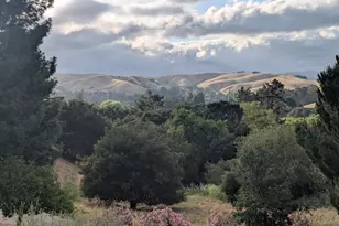 370 Castello, Lafayette, CA 94549 - Photo 27