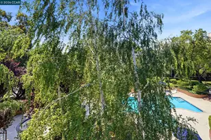 460 Civic Dr, Walnut Creek, CA 94596 - Photo 21