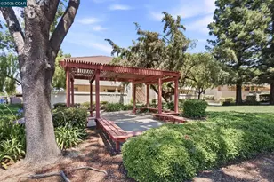 1167 Saint Matthew Pl, Concord, CA 94518 - Photo 21