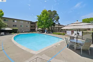 1327 Webster St, Alameda, CA 94501 - Photo 41