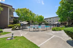 1327 Webster St, Alameda, CA 94501 - Photo 39