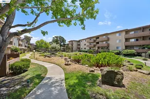 1327 Webster St, Alameda, CA 94501 - Photo 35